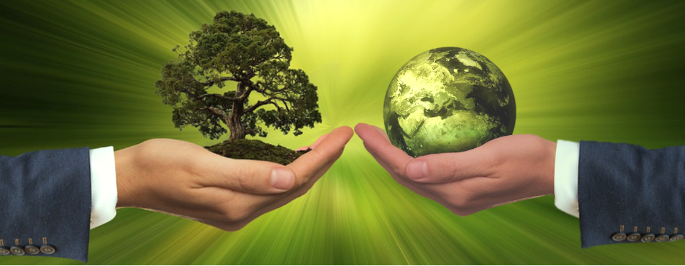 ESG nas empresas